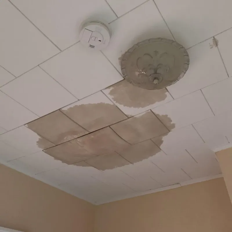 Ceiling Water Damage Repair in Tannersville, PA