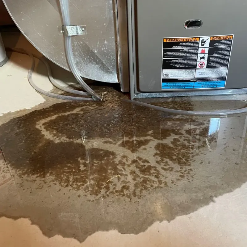 Pipe Burst and Leak Restoration in Tannersville, PA