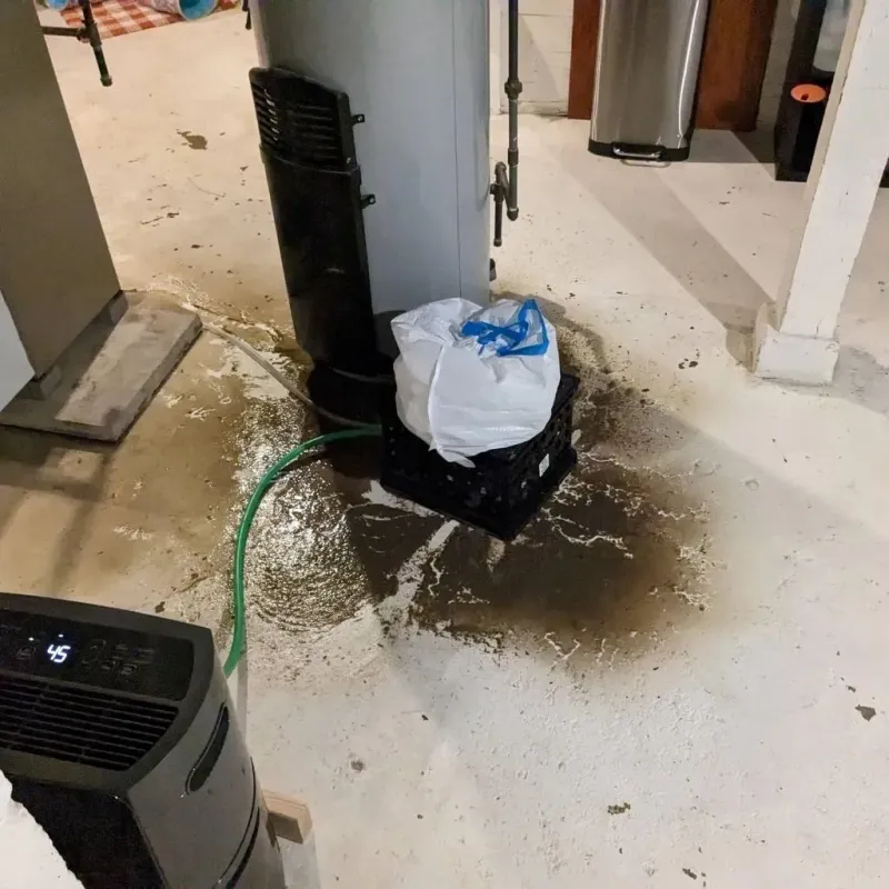 Sewage Backup Cleanup Service in Tannersville, PA